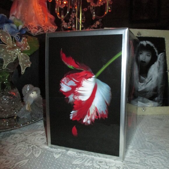 Twilight Box Set/Hardcover - Picture 4 of 14